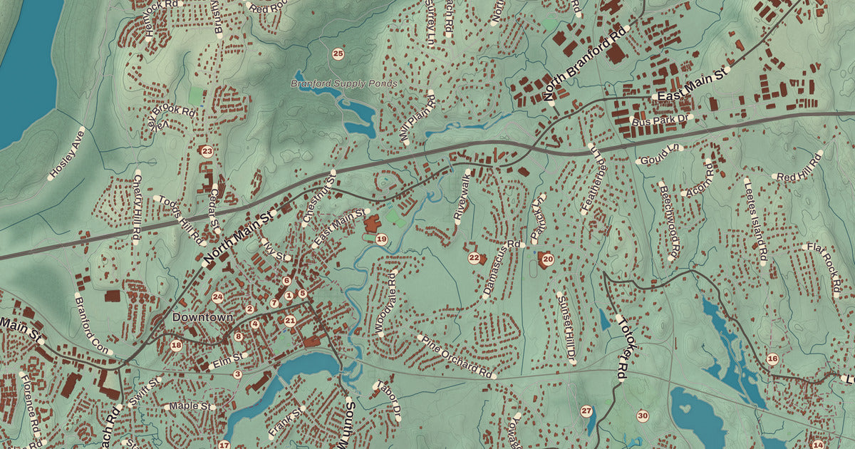 Detailed close-up of the KNOWOL map of Branford, Connecticut
