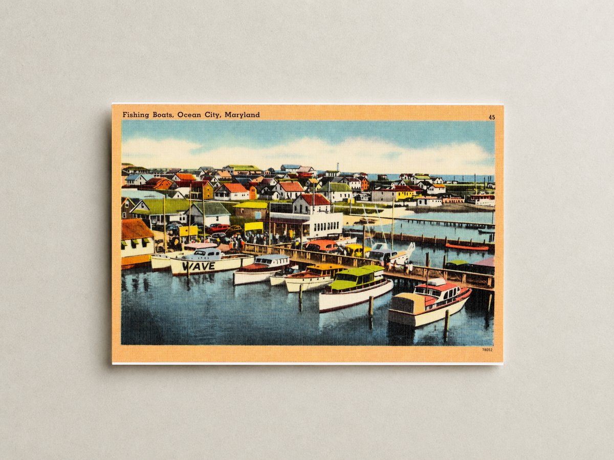 Fishing boats, Ocean City, Maryland — Vintage Maryland Postcard
