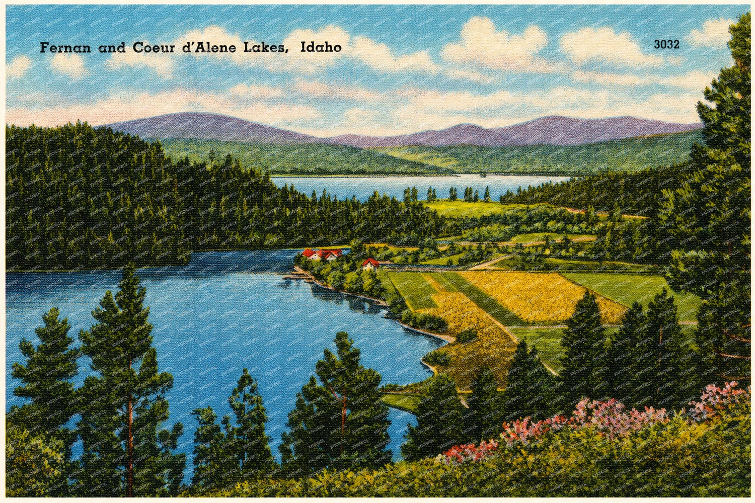 Coeur d'Alene Lake, ID: Fernan and Coeur d'Alene Lakes
