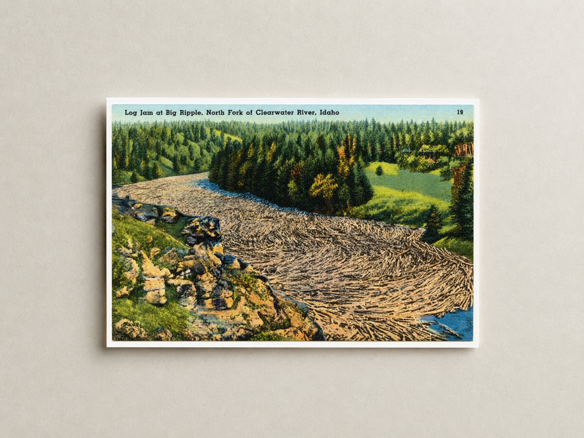 Clearwater, ID: Log jam at Big Ripple, North Fork of Clearwater River