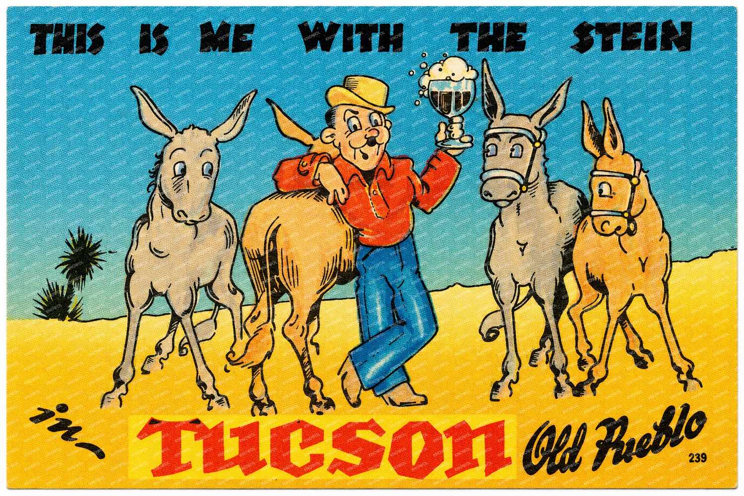 Tucson, AZ: This is me with the stein in Tucson