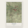 Haslet, Texas map print, the full design