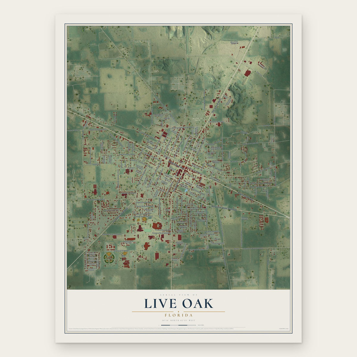 Live Oak, Florida map print, the full design