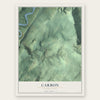 Carbon, Pennsylvania map print, the full design