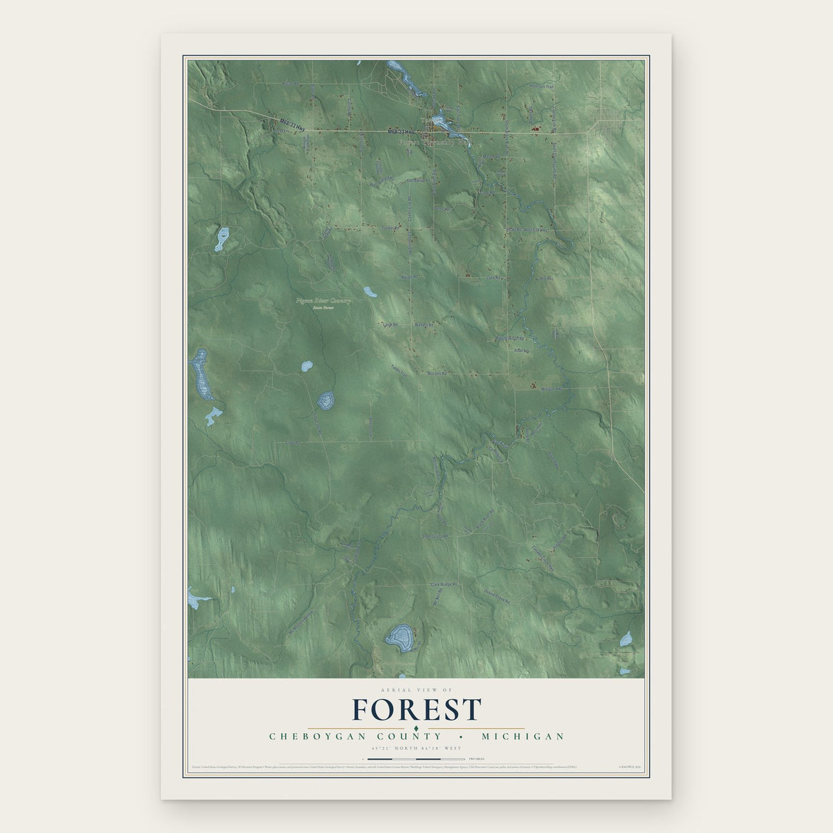 Forest, Cheboygan County, Michigan map print, the full design