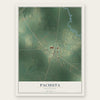Pachuta, Mississippi map print, the full design