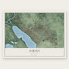 Salina, New York map print, the full design