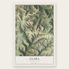 Clara, Pennsylvania map print, the full design