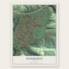 Pinehurst, Idaho map print, the full design