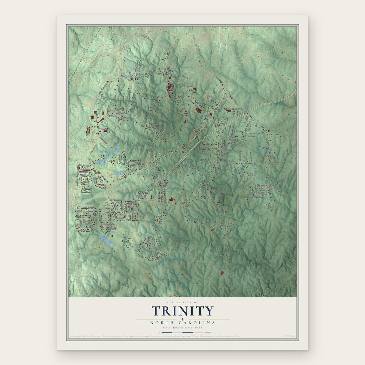 Trinity, North Carolina map print, the full design