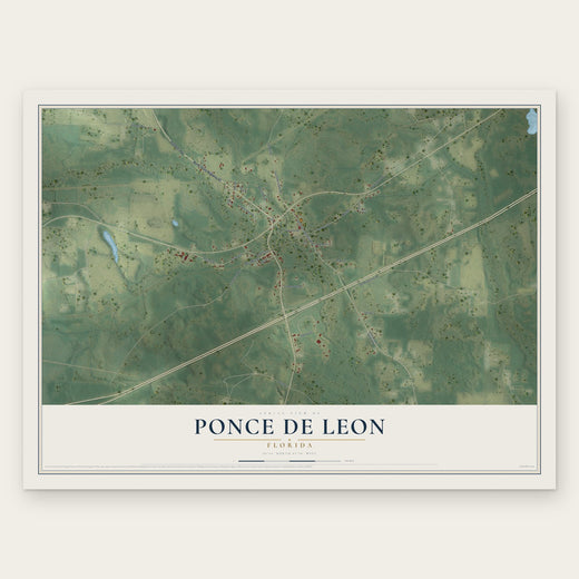 Ponce de Leon, Florida map print, the full design