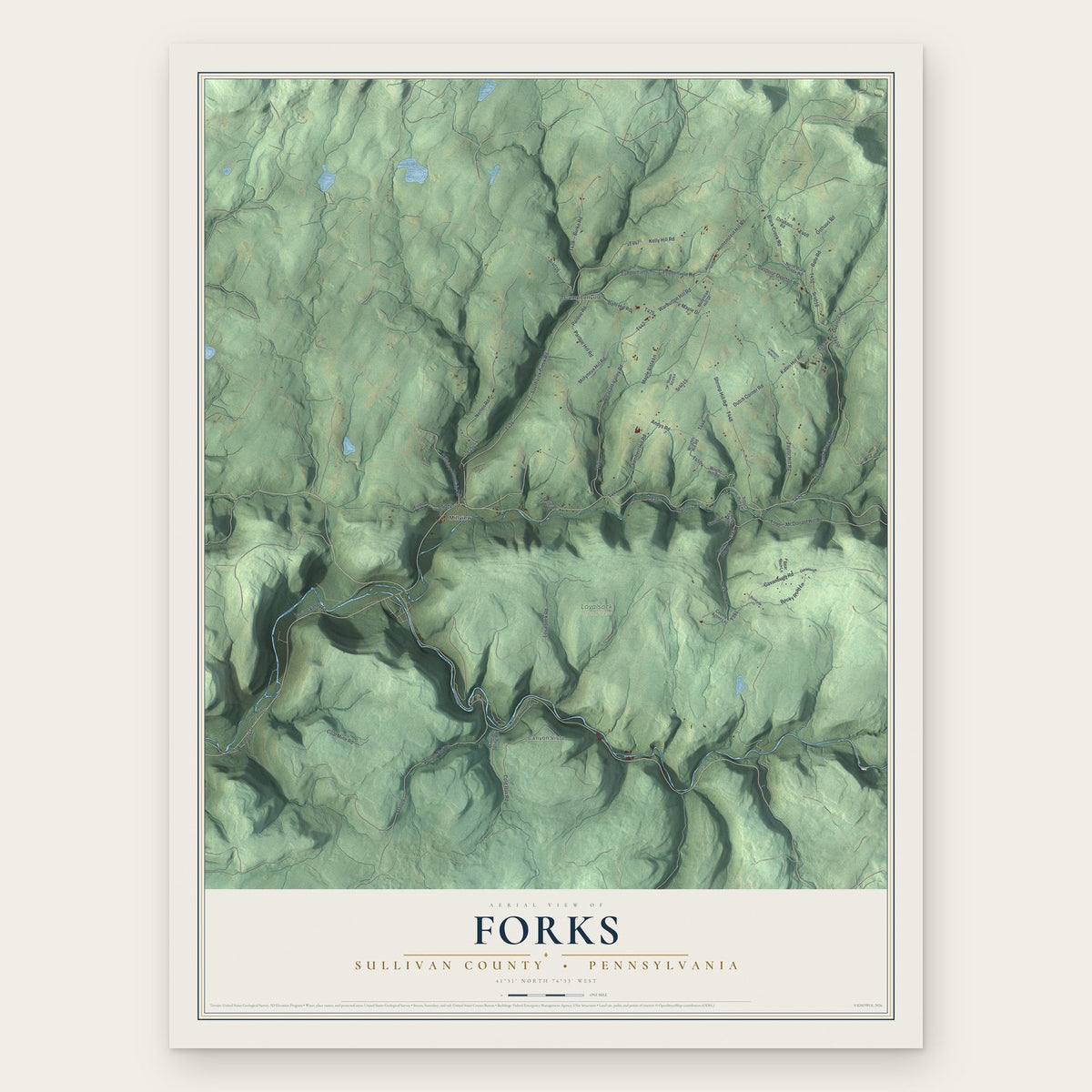 Forks, Sullivan County, Pennsylvania map print, the full design