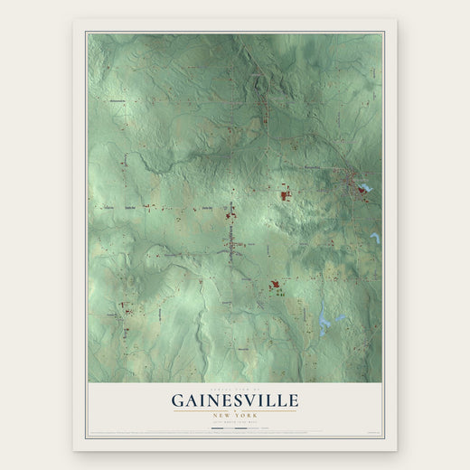 Gainesville, New York map print, the full design