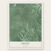 Olivet, Tennessee map print, the full design