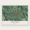 Mount Hope, West Virginia map print, the full design