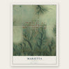 Marietta, Illinois map print, the full design