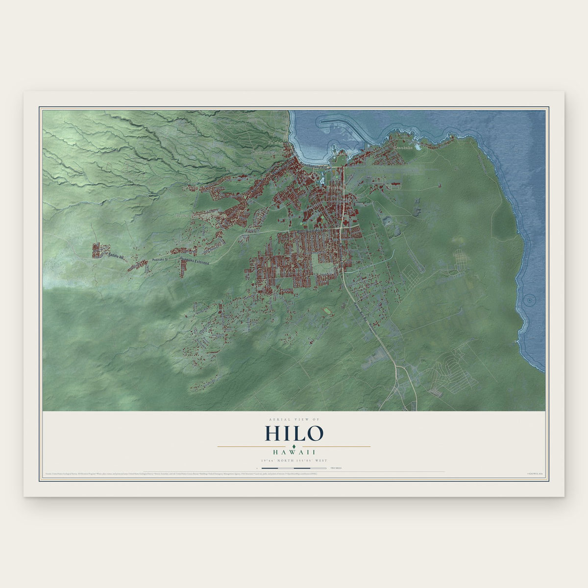 Hilo, Hawaii map print, the full design