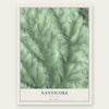 Nanticoke, New York map print, the full design