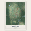Brantley, Alabama map print, the full design