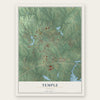 Temple, Georgia map print, the full design