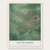 Albion, Michigan map print, the full design