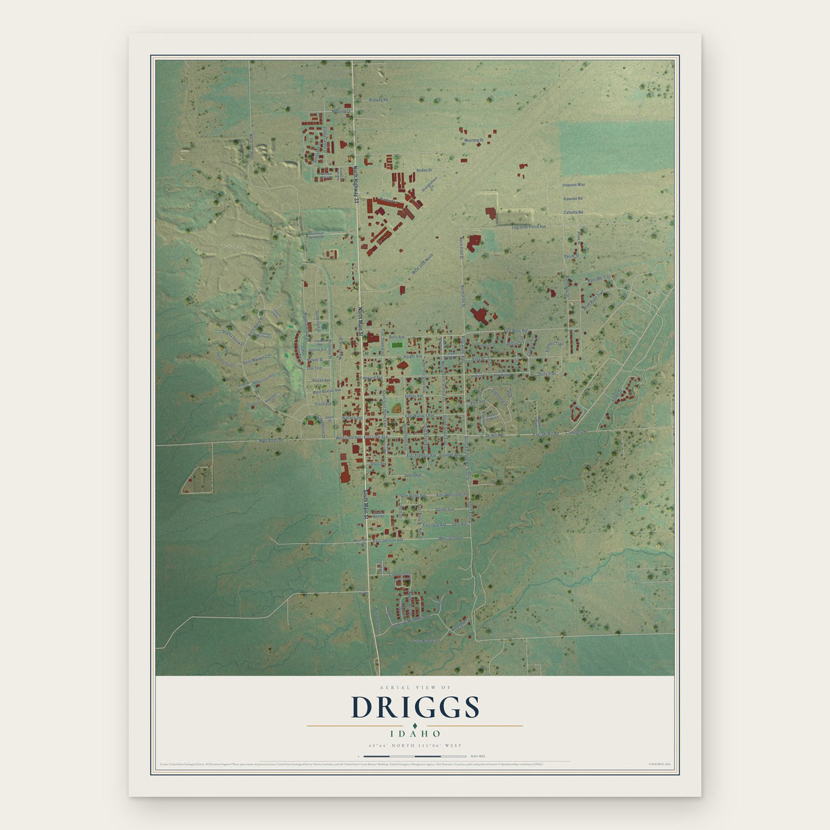 Driggs, Idaho map print, the full design