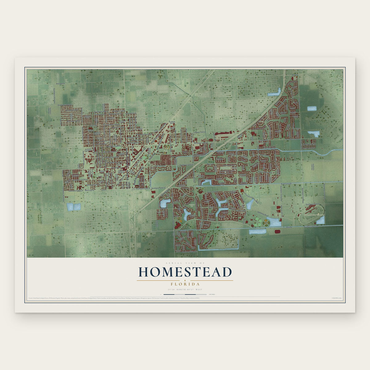 Homestead, Florida map print, the full design