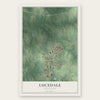 Lucedale, Mississippi map print, the full design