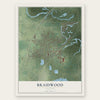 Braidwood, Illinois map print, the full design