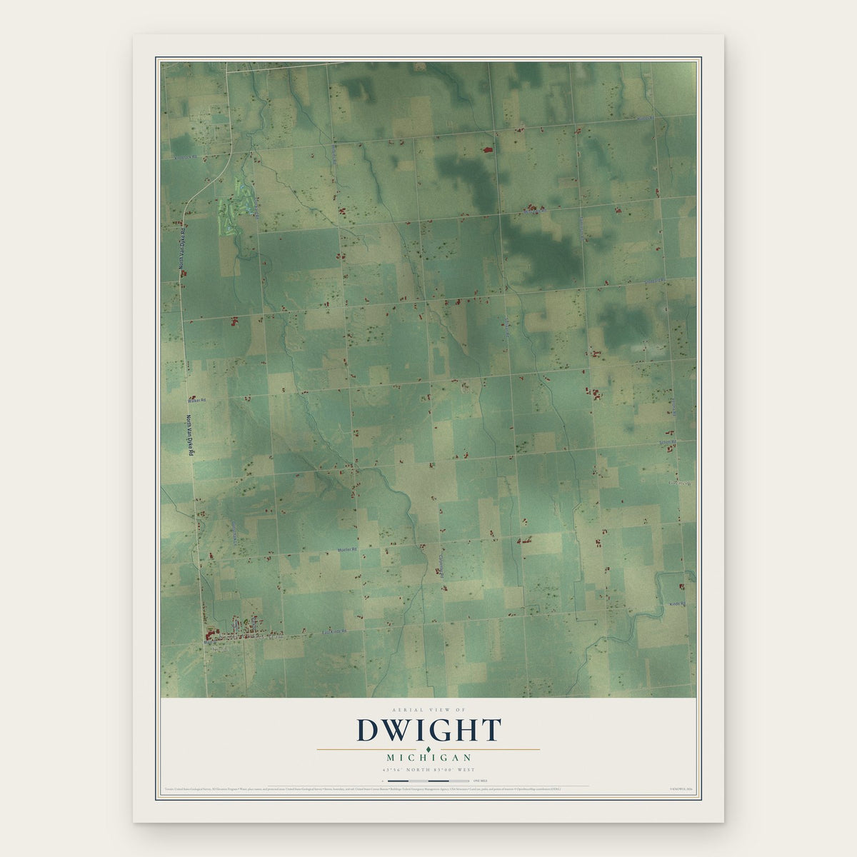 Dwight, Michigan map print, the full design