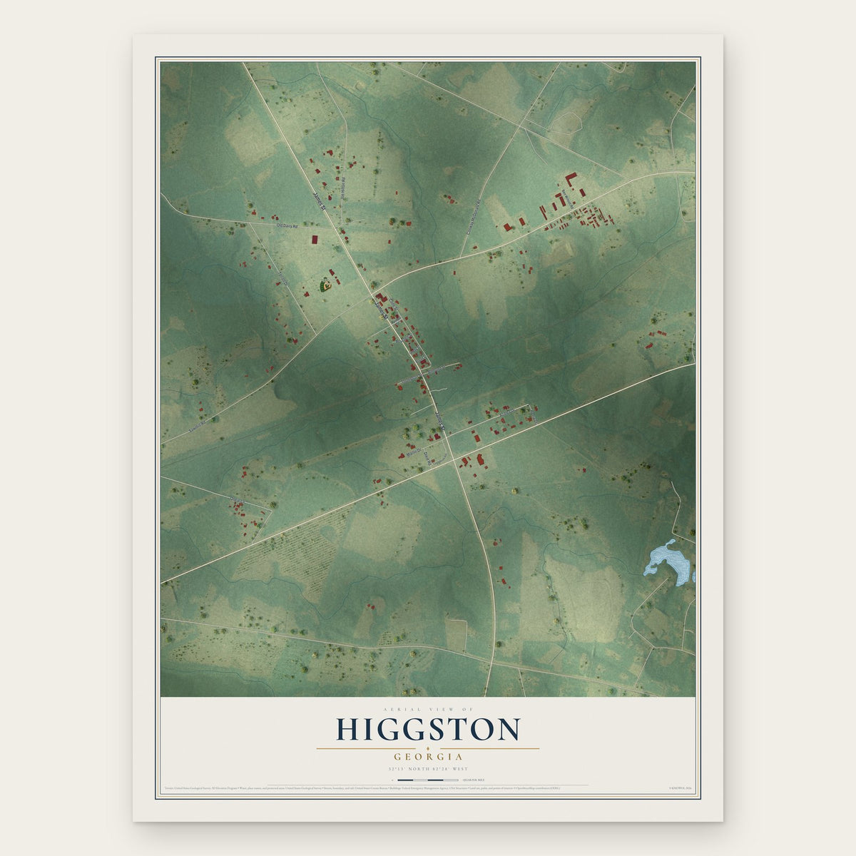 Higgston, Georgia map print, the full design