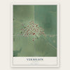 Vermilion, Illinois map print, the full design