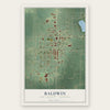Baldwin, Lake County, Michigan map print, the full design
