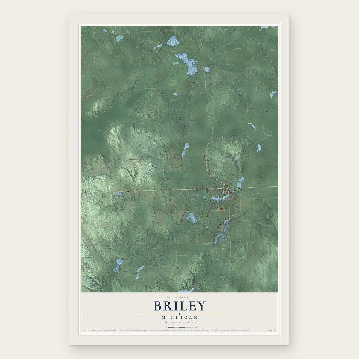 Briley, Michigan map print, the full design