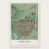 Lowry Hill, Minnesota map print, the full design