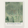 Meadowbrook Forest, Georgia map print, the full design