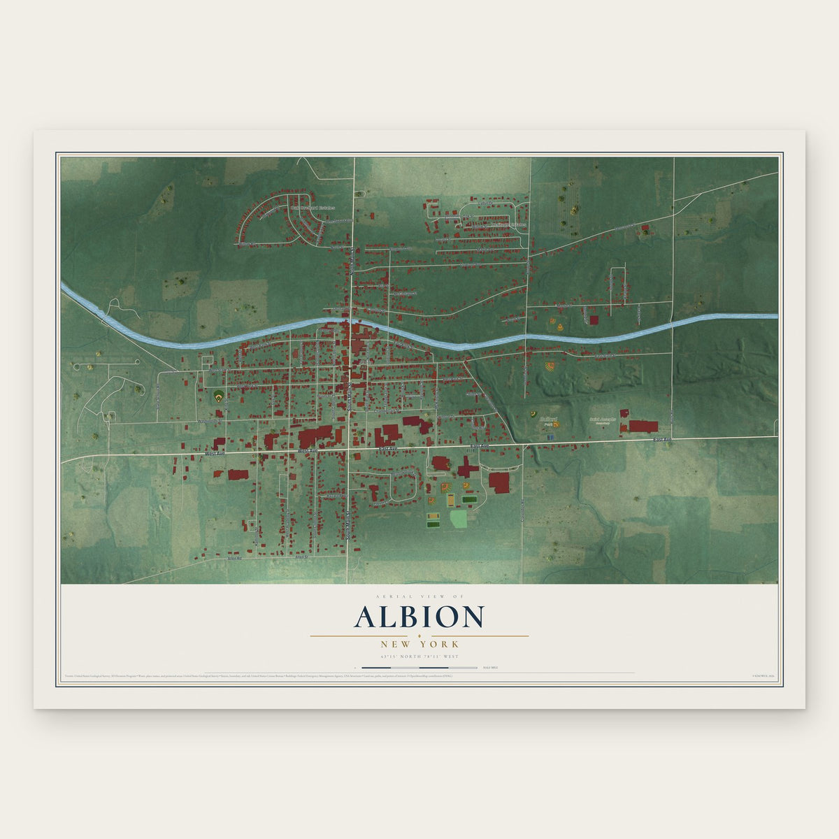Albion, New York map print, the full design