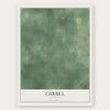 Carmel, Michigan map print, the full design