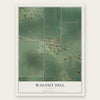 Walnut Hill, Illinois map print, the full design
