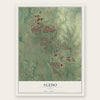 Aledo, Texas map print, the full design
