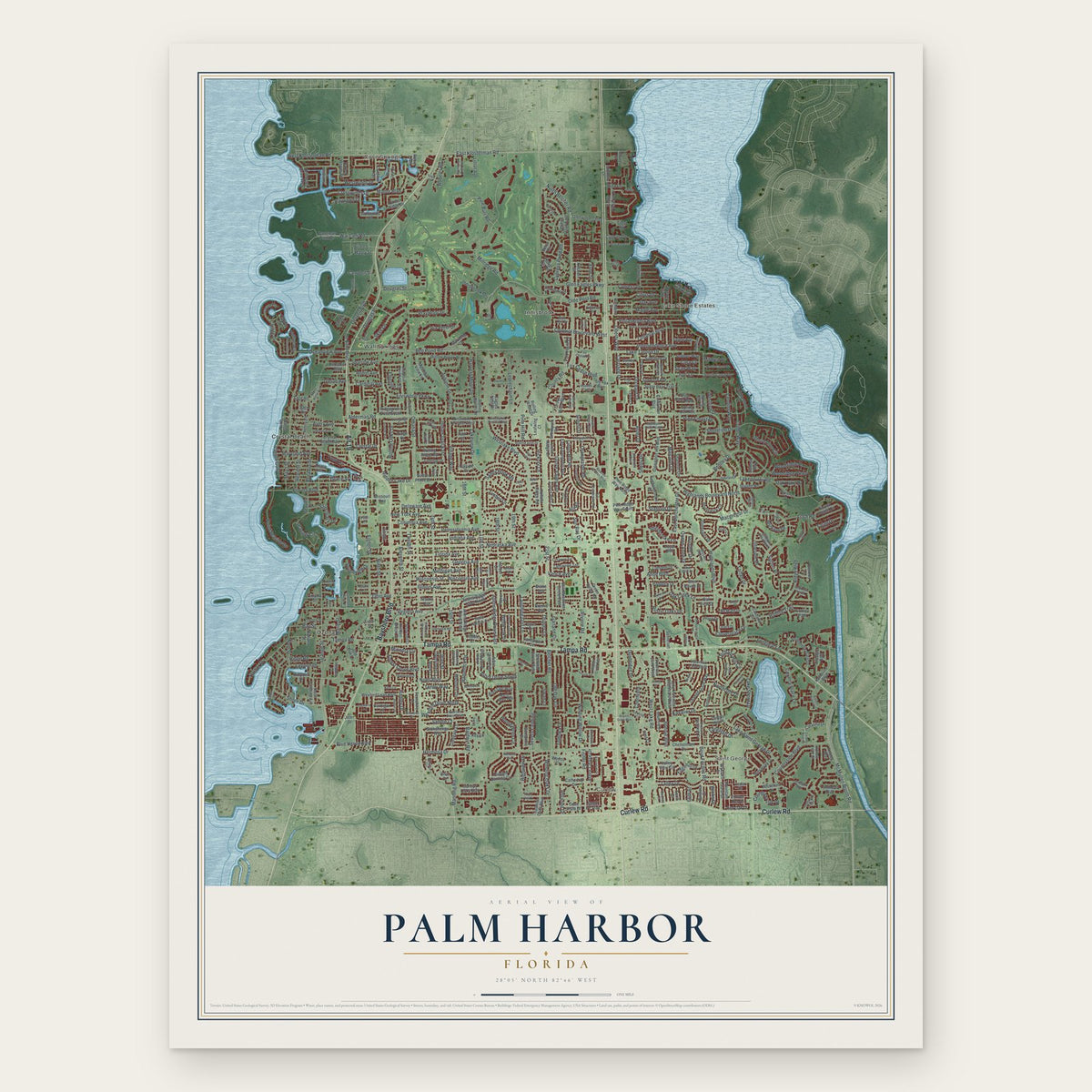 Palm Harbor, Florida map print, the full design