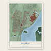 Ecorse, Michigan map print, the full design