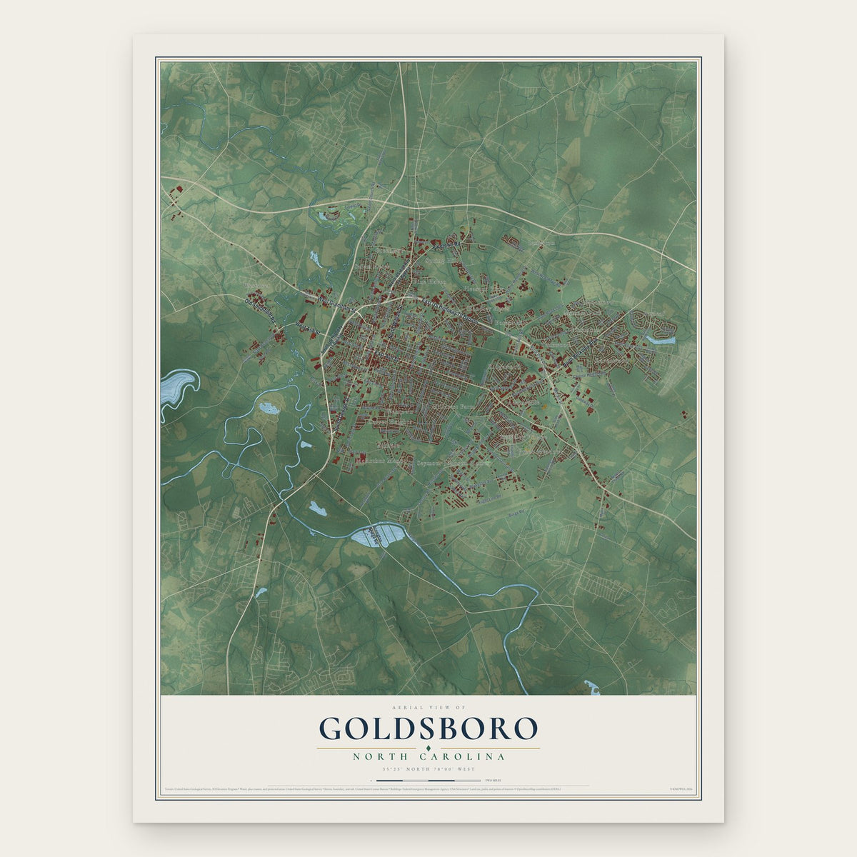 Goldsboro, North Carolina map print, the full design