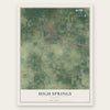 High Springs, Florida map print, the full design
