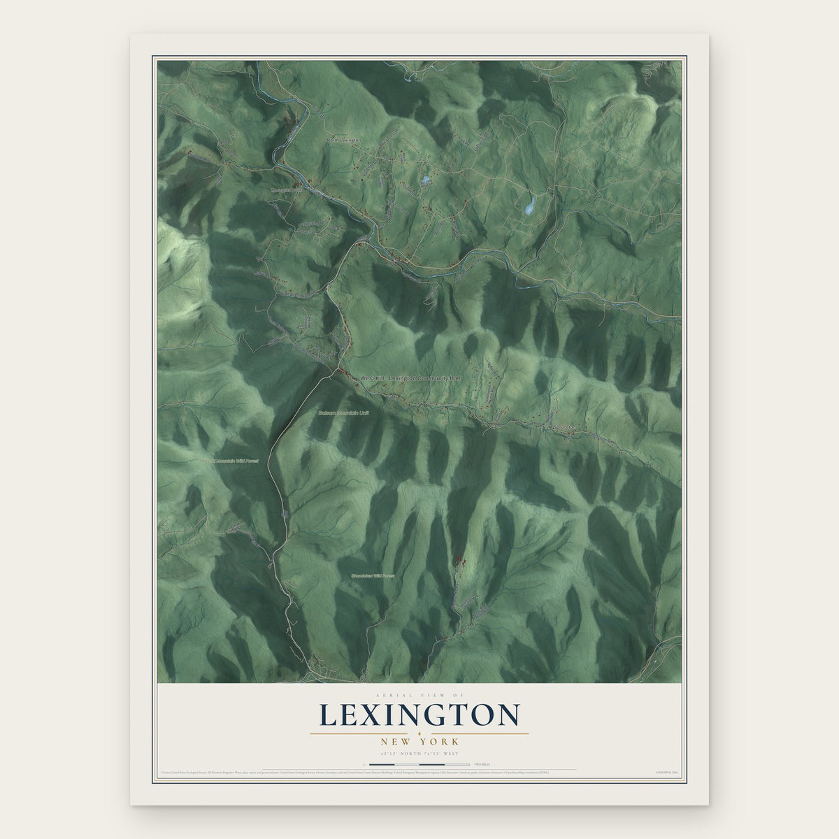 Lexington, New York map print, the full design