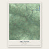Trenton, New York map print, the full design