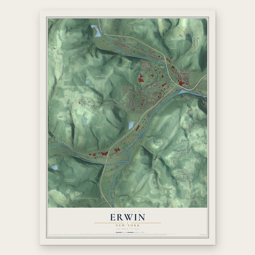 Erwin, New York map print, the full design