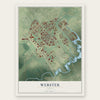 Webster, Texas map print, the full design