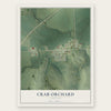Crab Orchard, Nebraska map print, the full design