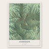 Anderson, Missouri map print, the full design